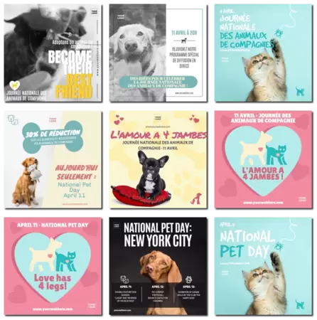 Modifier un modèle pour la Journée des Animaux de Compagnie