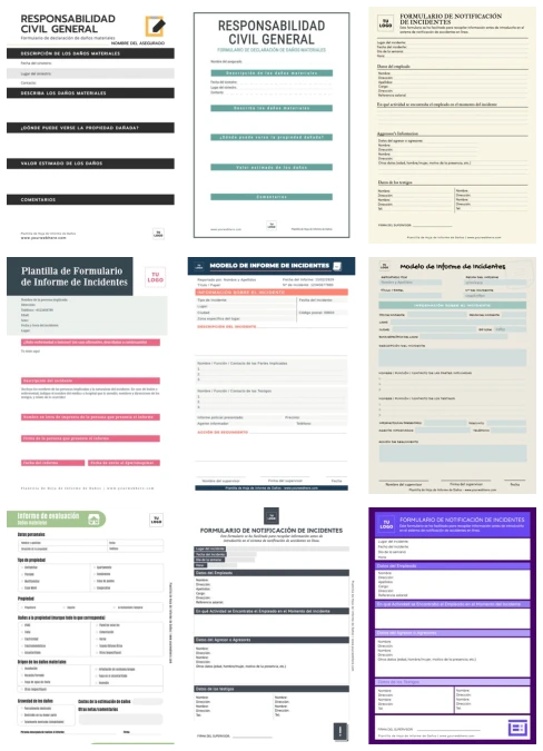 Edita un Informe de Incidentes